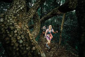 BIB: 
                            <button type="button" onclick="openModal(25695656)" class="btn btn-primary btn-sm float-right btn-popup" data-toggle="modal" data-target=".modal-high-quality">
                        <i class="fas fa-shopping-cart"></i> Add to Cart
                    </button>
                                            <button type="button" onclick="isThisMe(25695656, true)" class="btn btn-success btn-sm float-right btn-popup btn-isme hidden" data-toggle="tooltip" data-placement="bottom" title="นี่คือรูปของคุณใช่ไหม คลิกที่นี่เพื่อเอาเข้าอัลบั้ม">
                        <i class="fas fa-plus"></i> Add to album
                    </button>
                    <button type="button" onclick="isThisMe(25695656, false)" class="btn btn-warning btn-sm float-right btn-popup btn-isnotme hidden">
                        <i class="fas fa-ban"></i> Remove from album
                    </button>